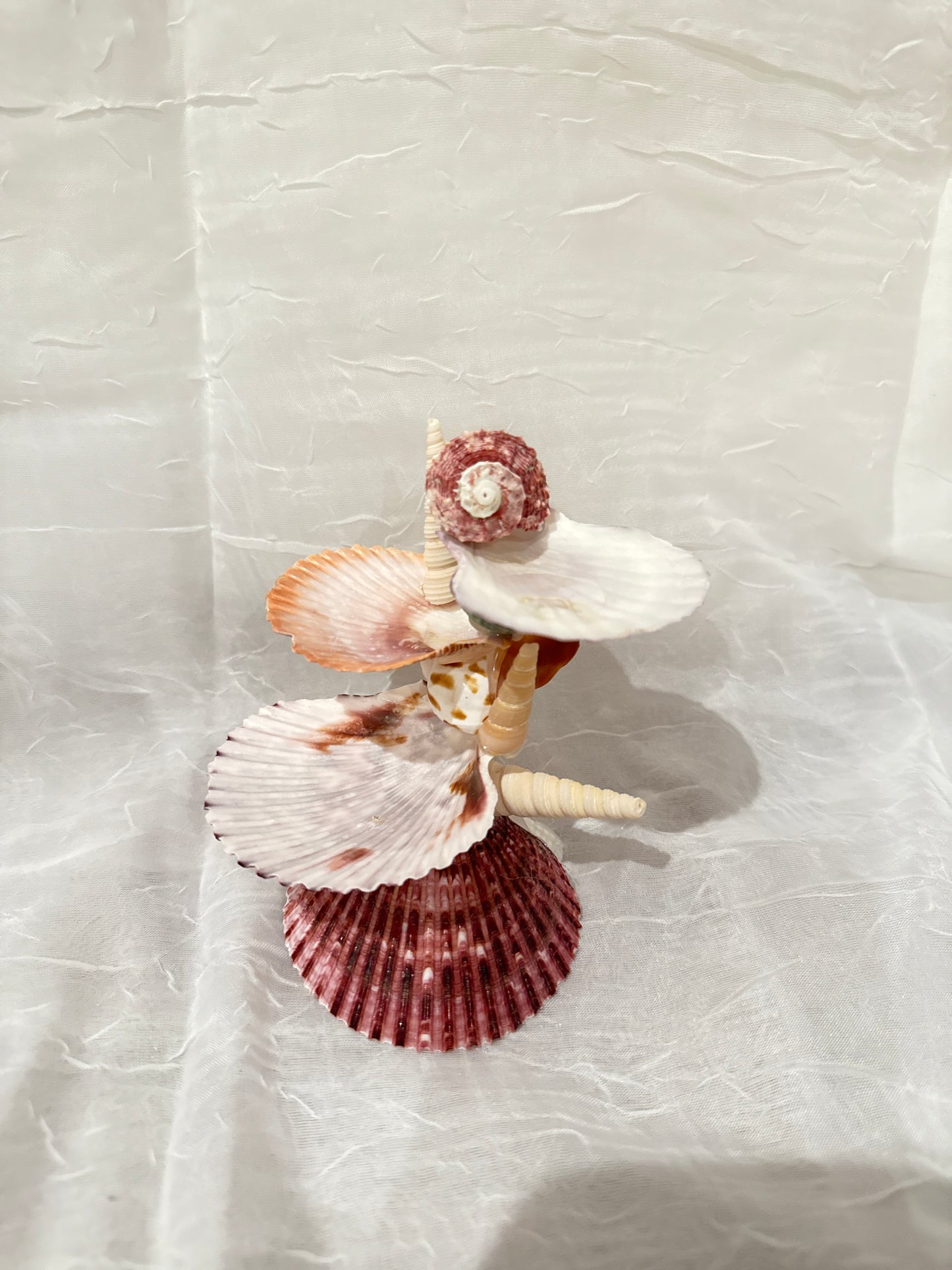 Crimson Tide Seashell Jewelry Stand