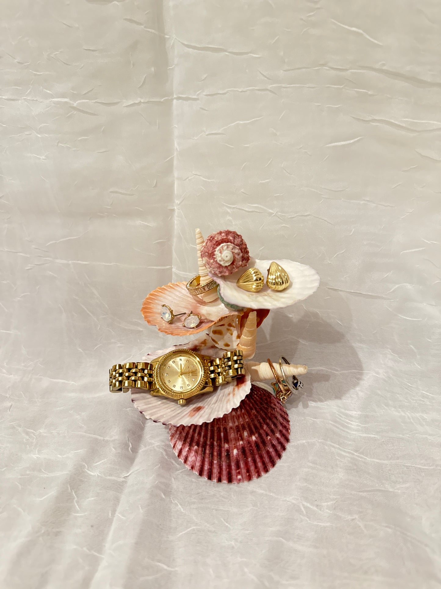 Crimson Tide Seashell Jewelry Stand