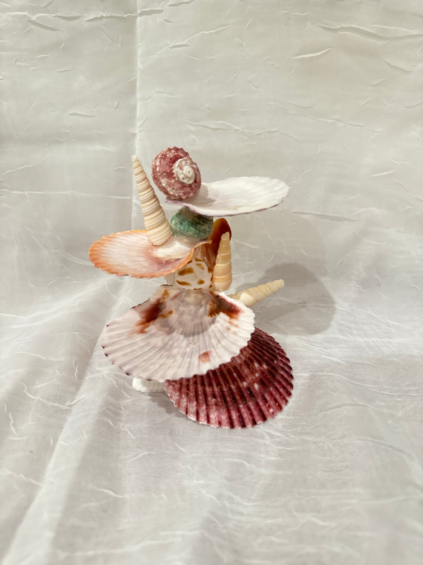 Crimson Tide Seashell Jewelry Stand
