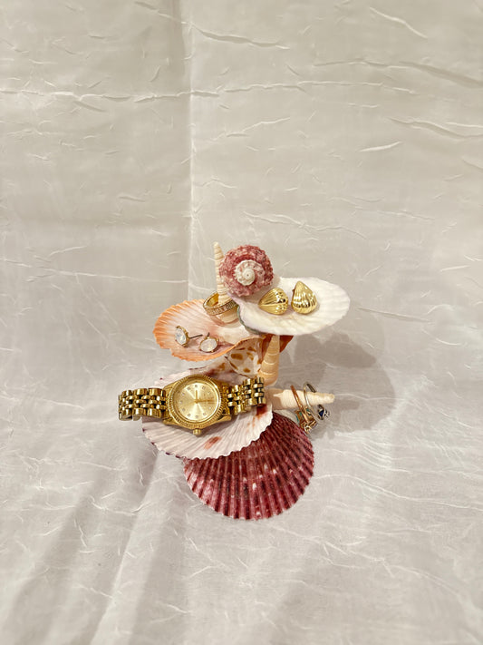 Crimson Tide Seashell Jewelry Stand