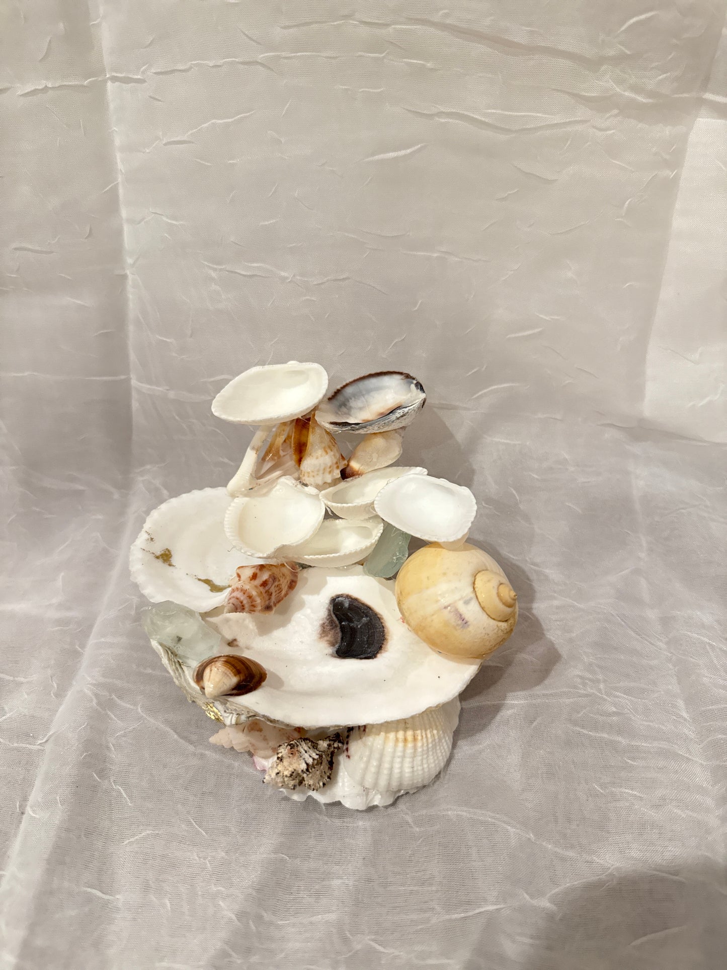 Golden Shore Jewelry Holder