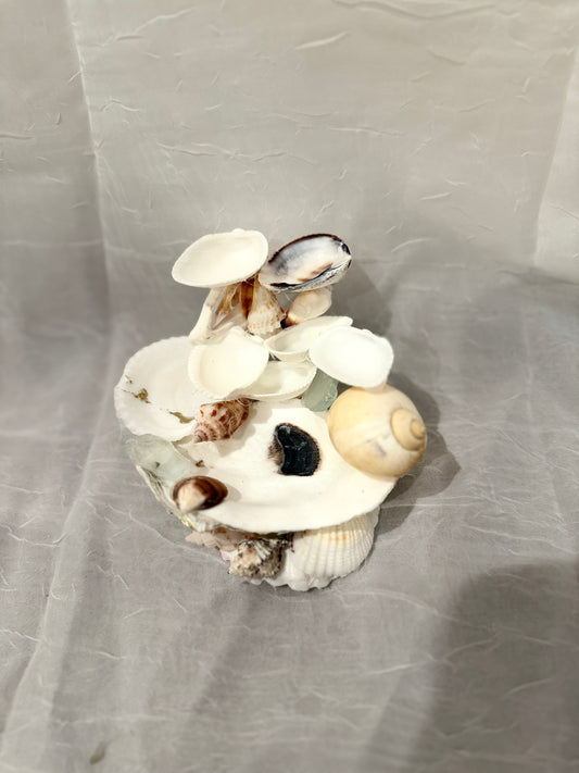 Pearl Bloom Seashell Jewelry Stand