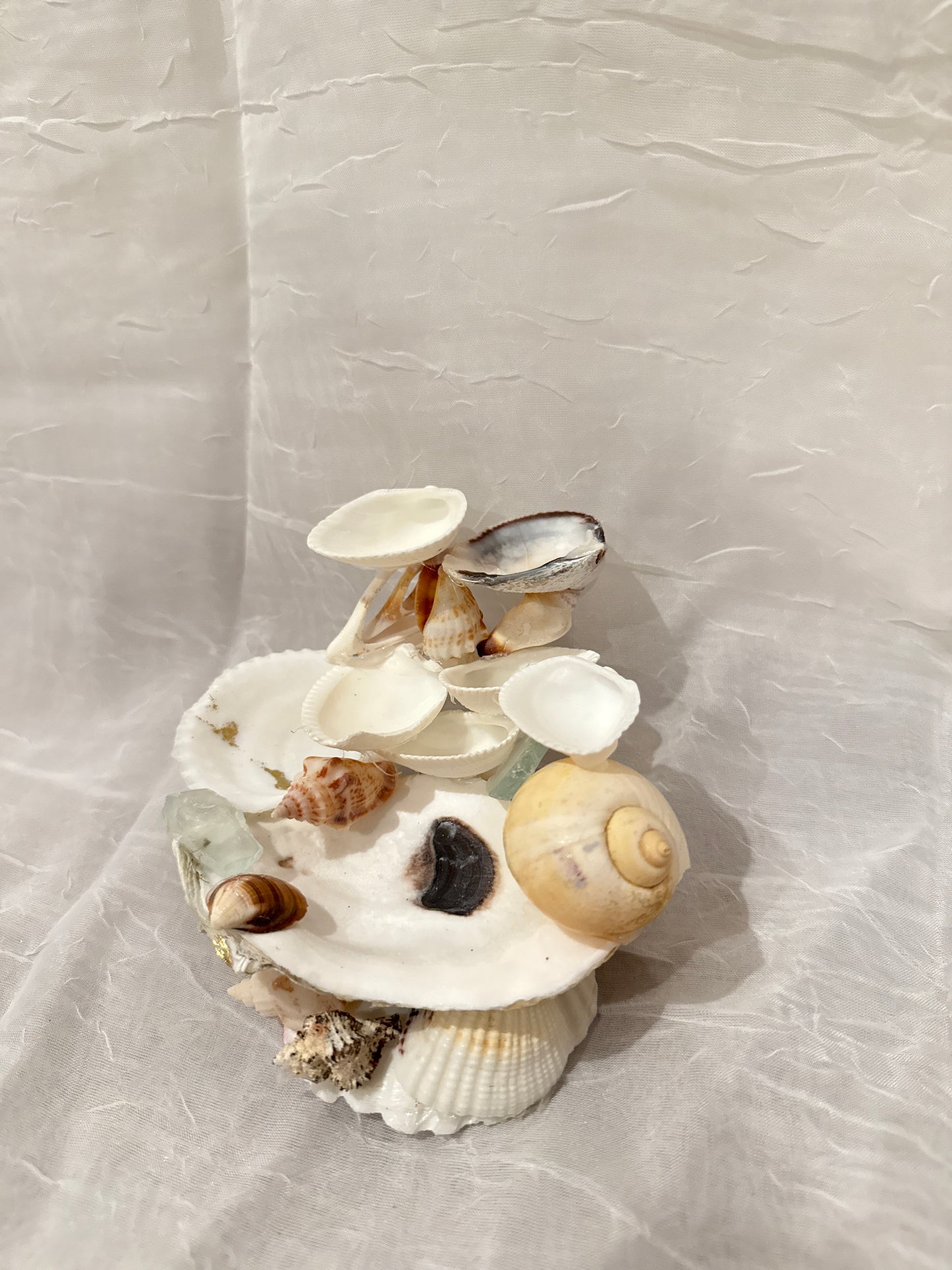 Golden Shore Jewelry Holder