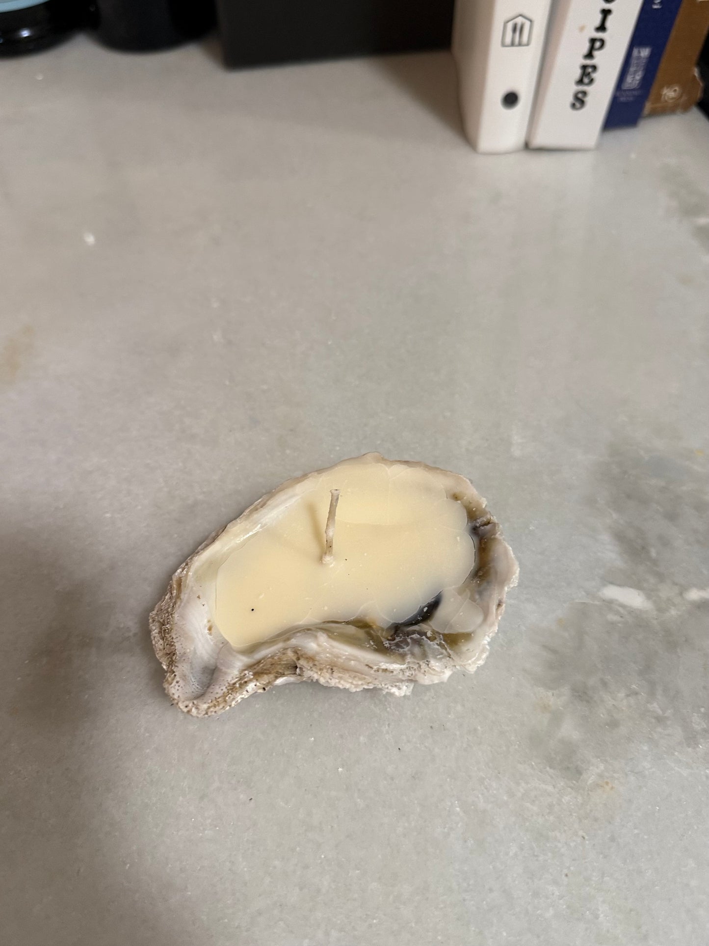 Oyster Luxe- Real Oyster Shell Candle- Set of 3.